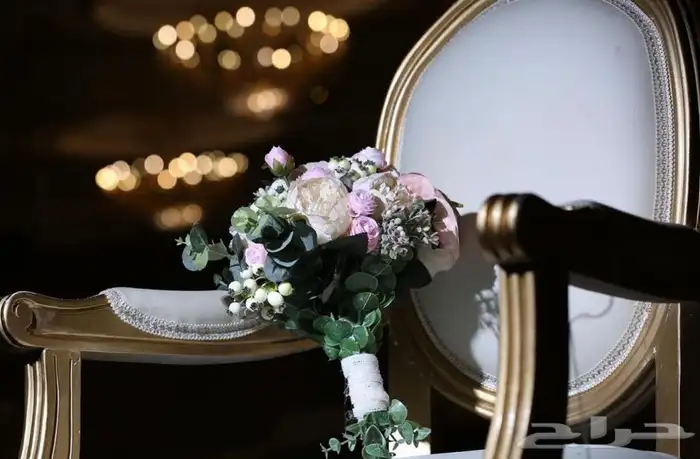 عرايس تصوير 8