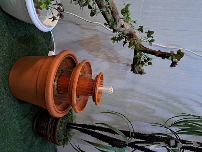 مروش لطيور والعصافير 3