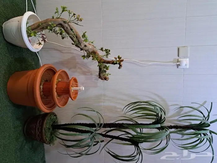 مروش لطيور والعصافير 2