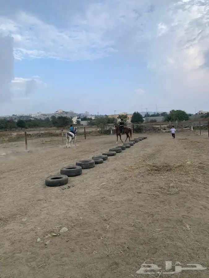 تدريب على ركوب الخيل. 18