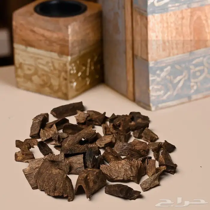 عود كينامي دبل و تربل سوبر 0