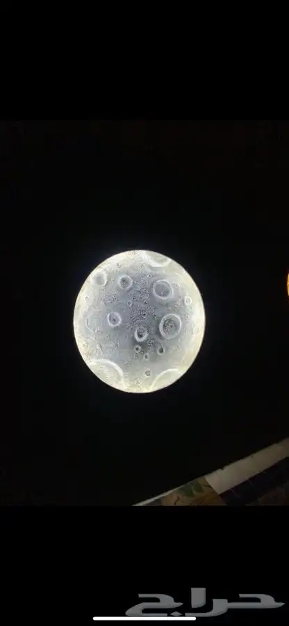 القمر المضيء 2