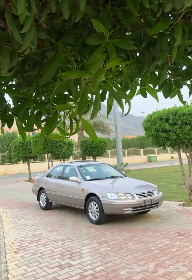 كامري قراندي ( مباع ) 11