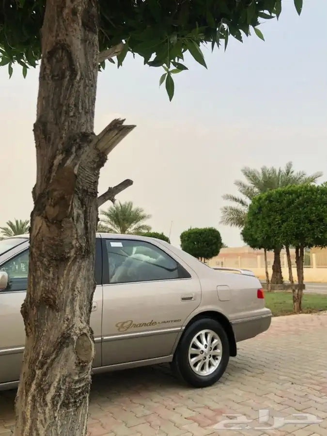 كامري قراندي ( مباع ) 13