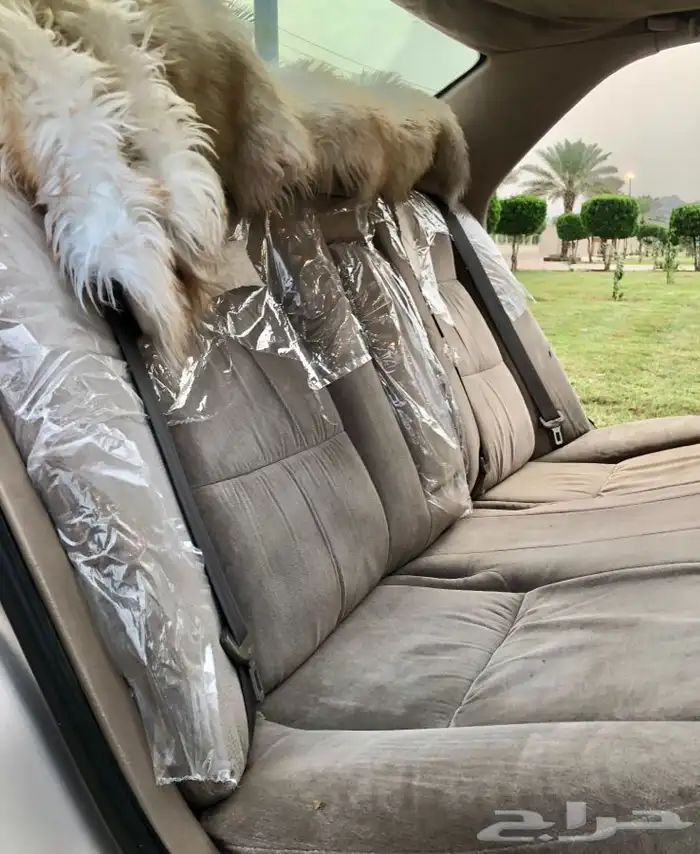 كامري قراندي ( مباع ) 31