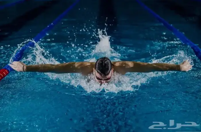 تدريب السباحة   اصدار شهادات معتمدة لمن يجيد السباحة 0