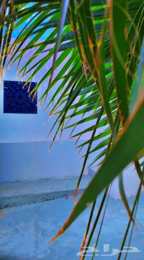 شاليه (الفقره ) للاجار 2