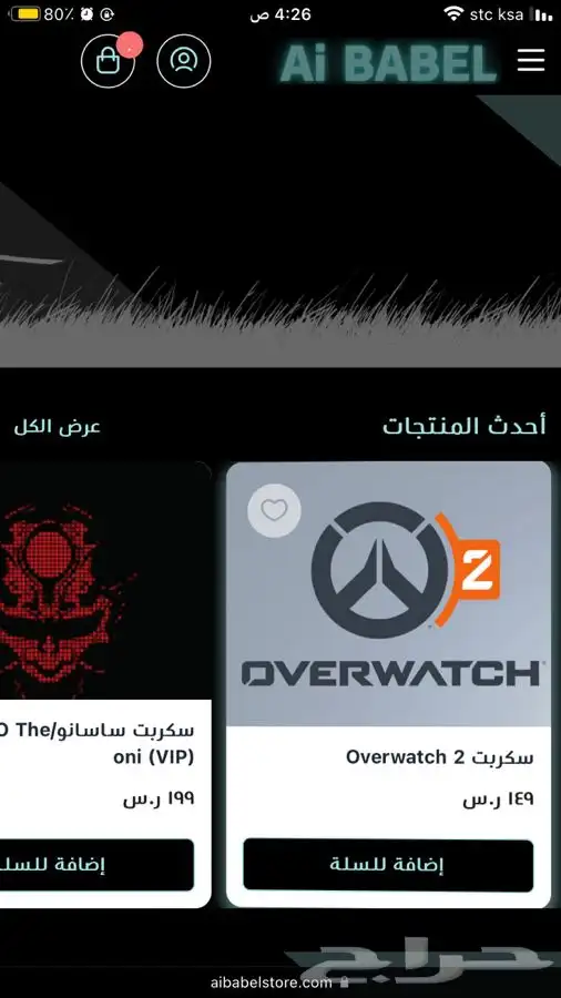 تخصيص وبرمجة متجر سلة وزد CSS 14