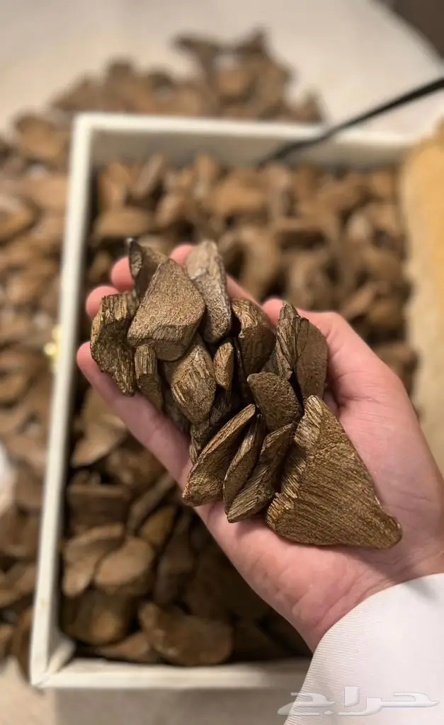 عود أرياني طبيعي محسن فاخر بسعر الجملة 0