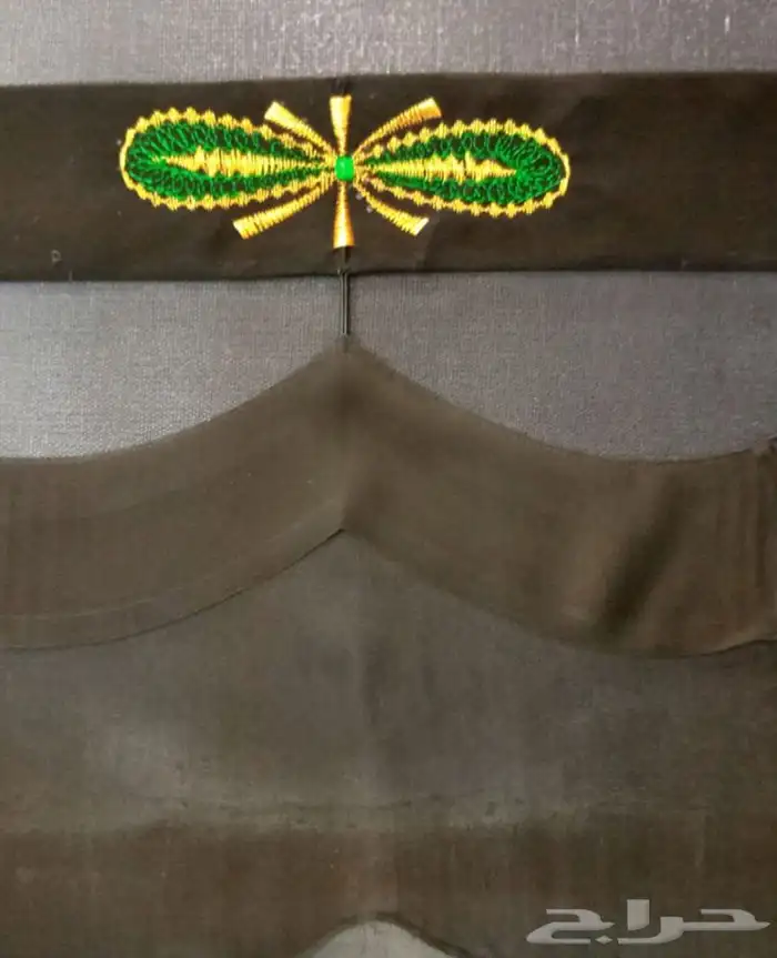 البرقع 1