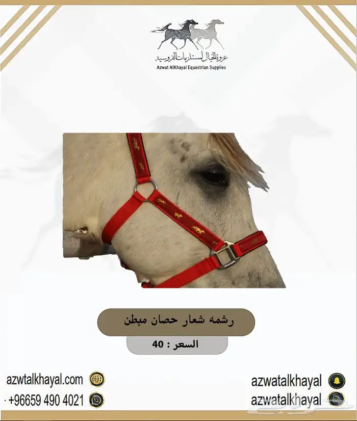 طقم سرج اصلي ستيتوس يوجد اقساطط 8