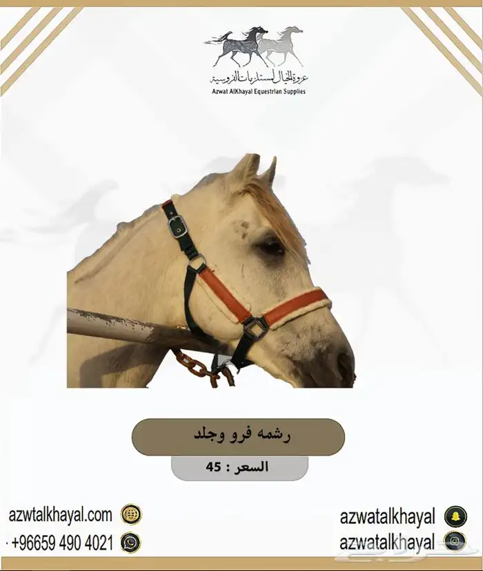 طقم سرج اصلي ستيتوس يوجد اقساطط 12