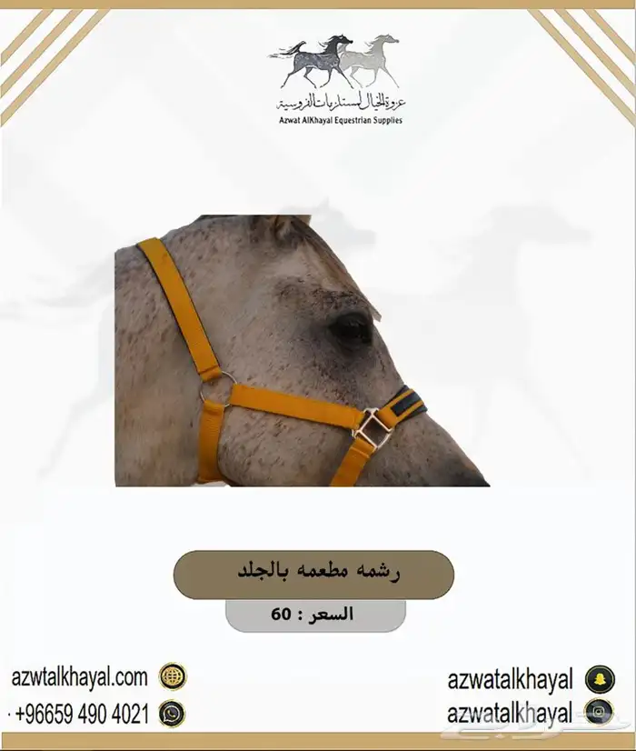 طقم سرج اصلي ستيتوس يوجد اقساطط 23