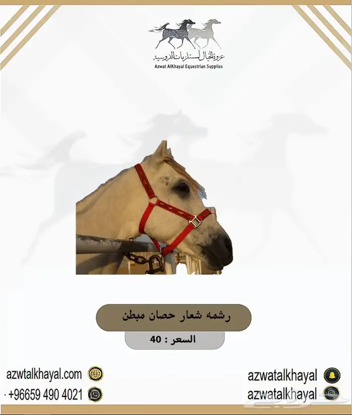 طقم سرج اصلي ستيتوس يوجد اقساطط 7