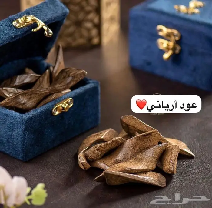عود أرياني طبيعي محسن فاخر بسعر الجملة 1