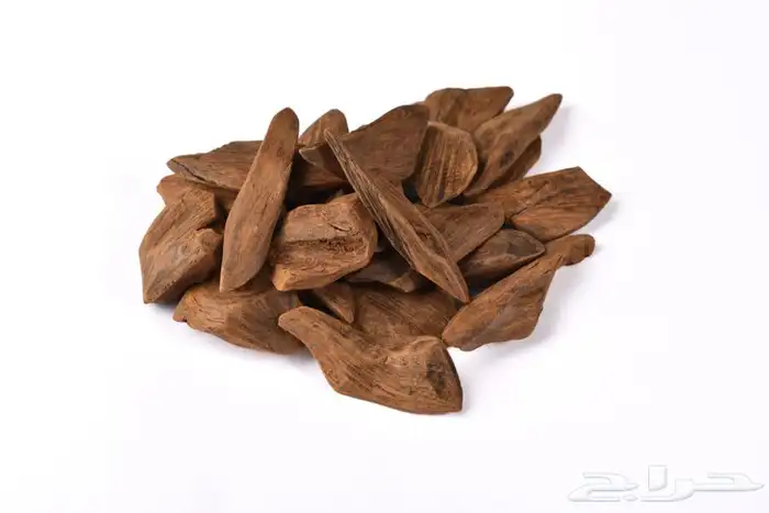 تصوير المطاعم و المقاهي 10