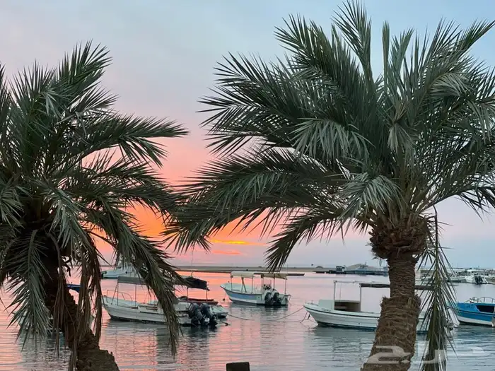 قطع رينجر مكينه رنجر فورد ديزل 12