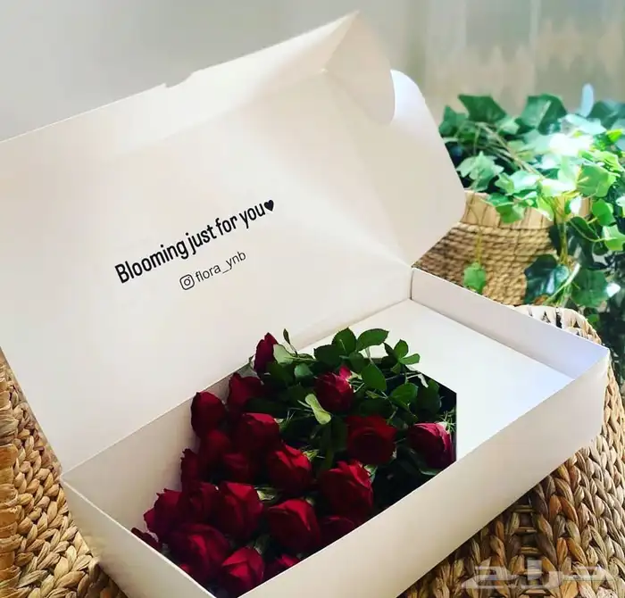 أكواب أكياس ليبل قماش عبايات لوقو عبايات بوكسات شرايط عباية 97