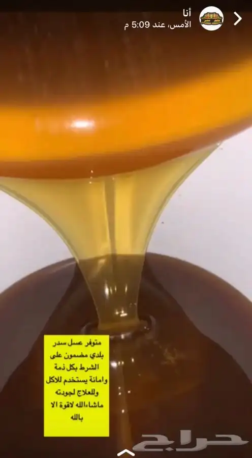 تخفيضات على عسل السدر الاصلي جودة وافضل سعر 3