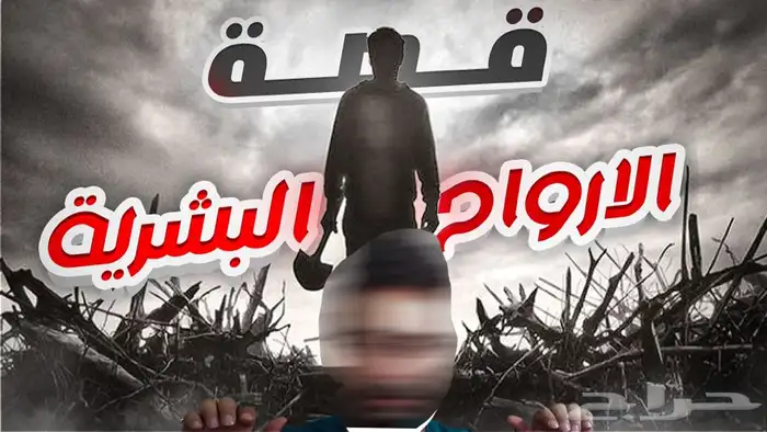 مصمم جرافيك - جميع انواع التصاميم 0
