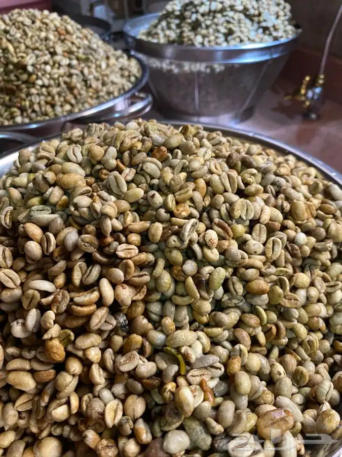 قهوه خيال 13