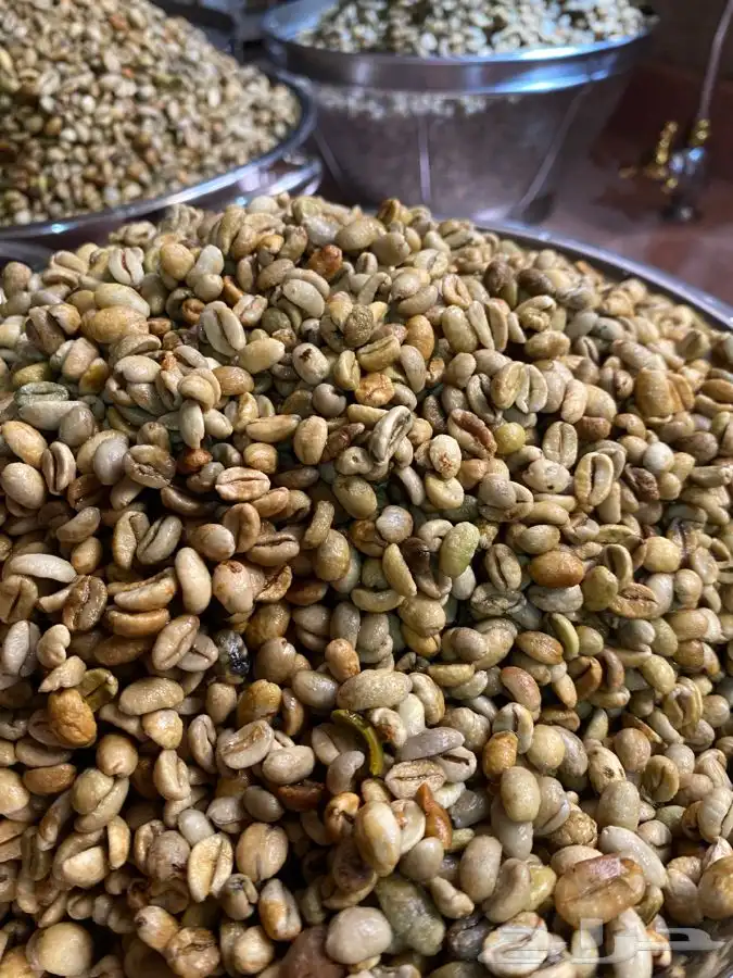 قهوه خيال 14