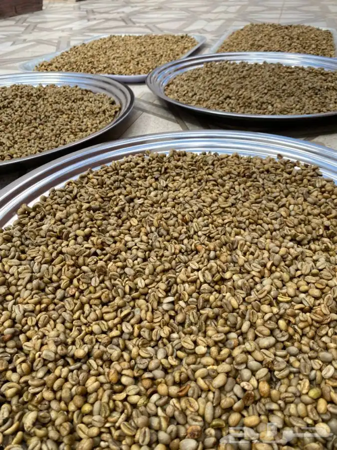 قهوه خيال 11