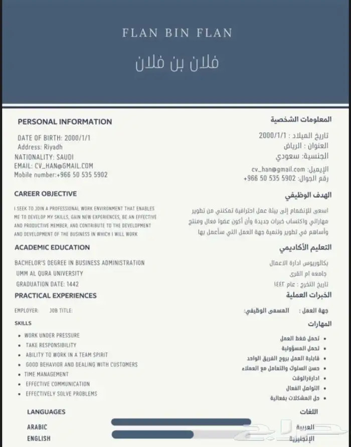 تصميم وكتابة سيرة ذاتية احترافية 0