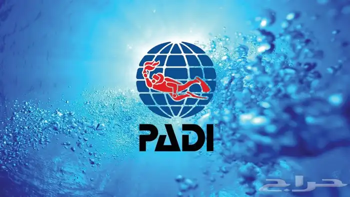 عرض خاص على دورة غوص Open Water 0
