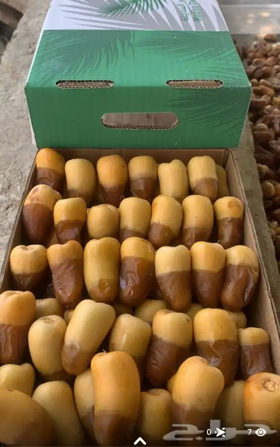 اصناء برنى العيص 4