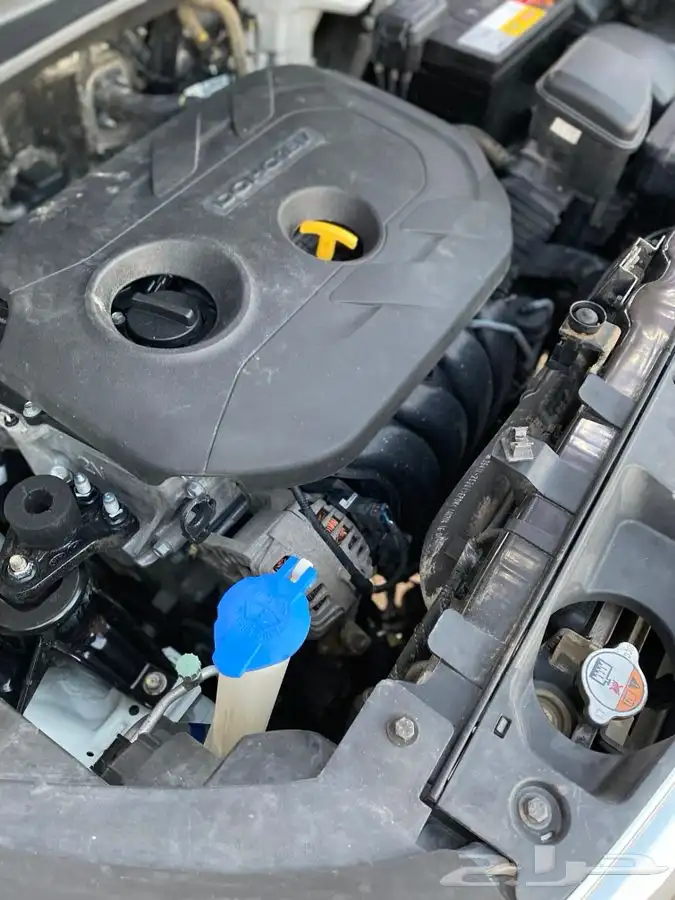 سبورتاج 2015 سعودي الجبر (( تم البيع )) 32