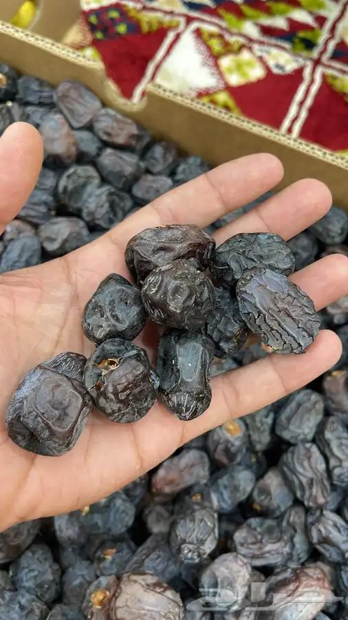 عجوه فاخرره حبه كبيره 27