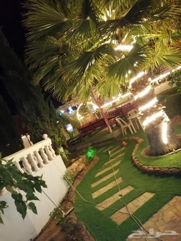 منتجع واستراحة نورة للإيجار اليوميvip 31