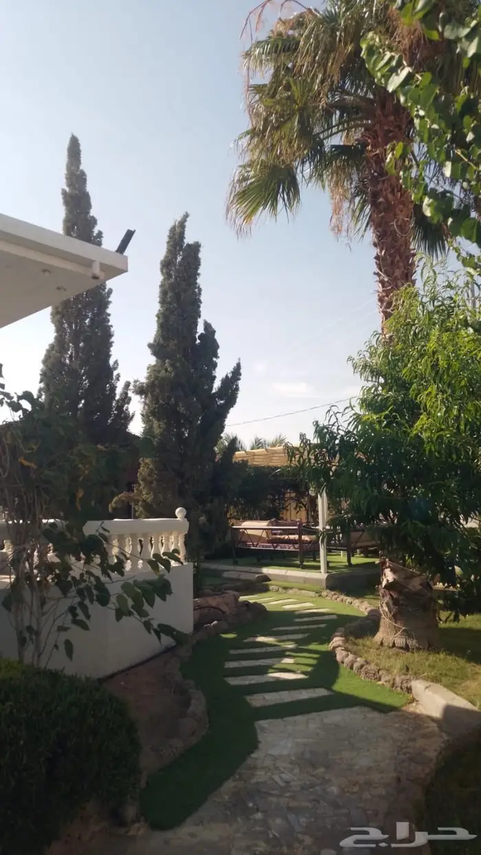 منتجع واستراحة نورة للإيجار اليوميvip 22