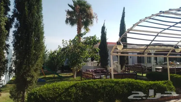 منتجع واستراحة نورة للإيجار اليوميvip 0