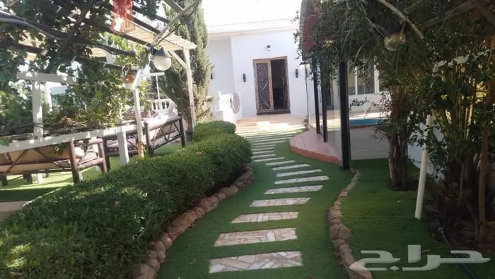 منتجع واستراحة نورة للإيجار اليوميvip 17