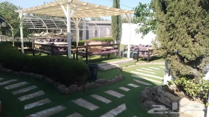 منتجع واستراحة نورة للإيجار اليوميvip 21