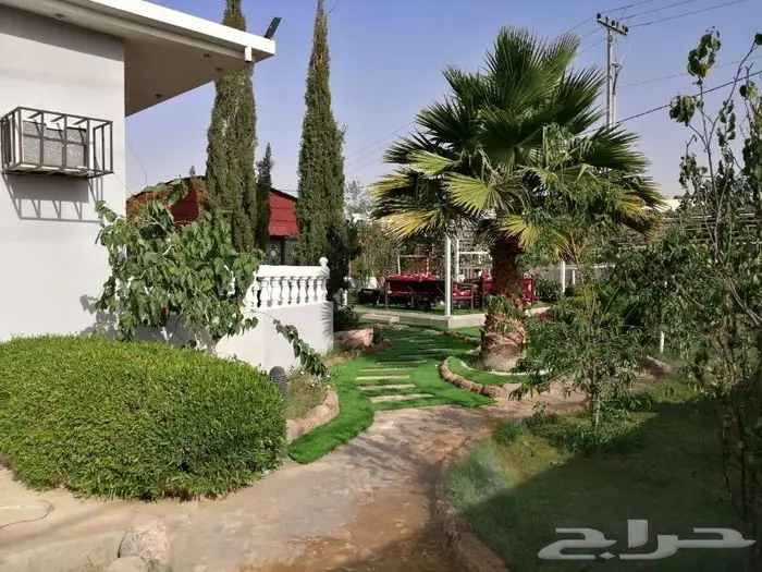 منتجع واستراحة نورة للإيجار اليوميvip 30