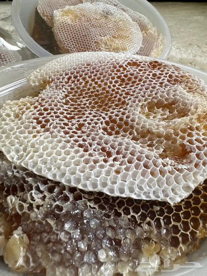 عسل سمر طلح مع سدر شمع وصافي 31