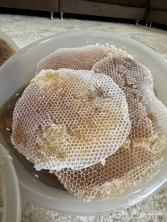 عسل سمر طلح مع سدر شمع وصافي 33