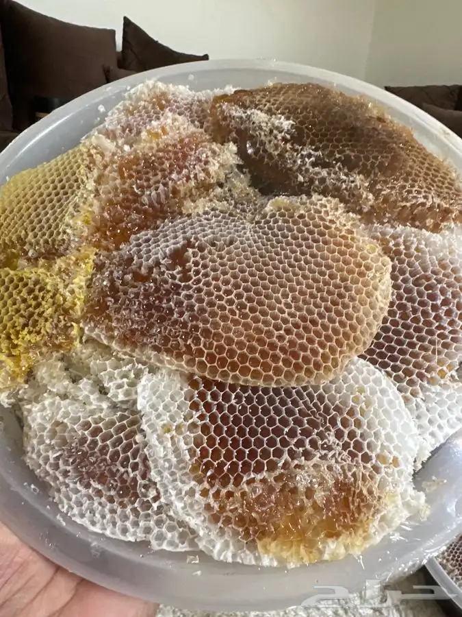 عسل سمر طلح مع سدر شمع وصافي 27