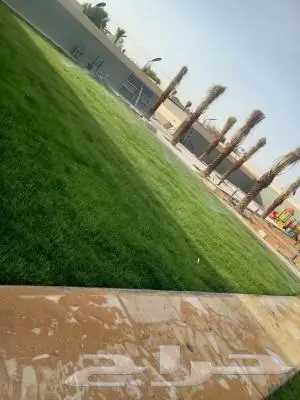 ثيل طبيعي وتنسيق حدائق 1