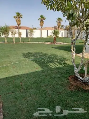 ثيل طبيعي وتنسيق حدائق 6