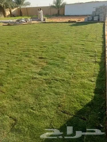 ثيل طبيعي وتنسيق حدائق 5