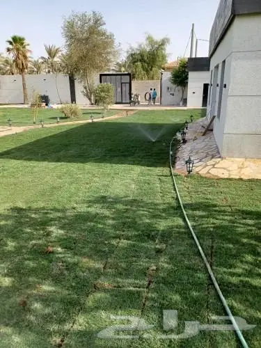 ثيل طبيعي وتنسيق حدائق 7