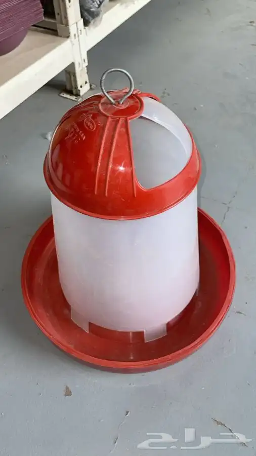 مستلزمات القطط والحيوانات الأليفة للجملة والكميات شركة مختصة 45