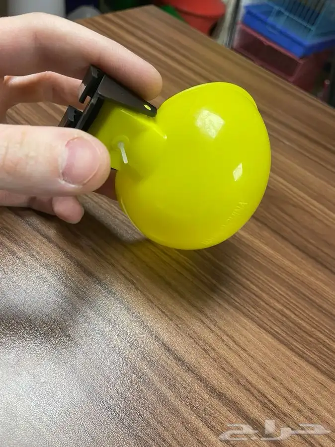 مستلزمات القطط والحيوانات الأليفة للجملة والكميات شركة مختصة 51