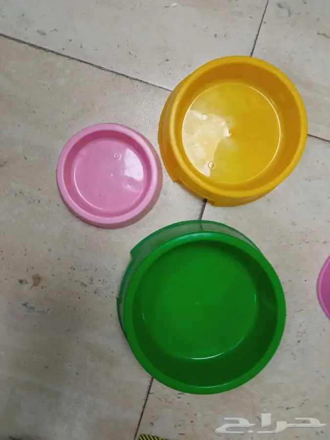 مستلزمات القطط والحيوانات الأليفة للجملة والكميات شركة مختصة 12