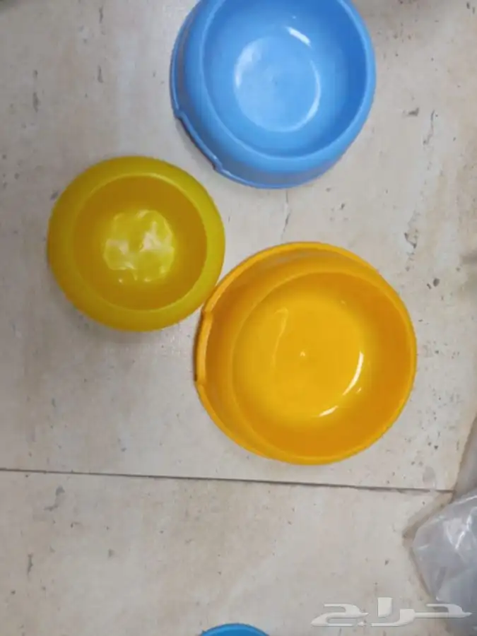 مستلزمات القطط والحيوانات الأليفة للجملة والكميات شركة مختصة 13