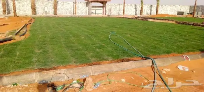 ثيل طبيعي وتنسيق حدائق 12